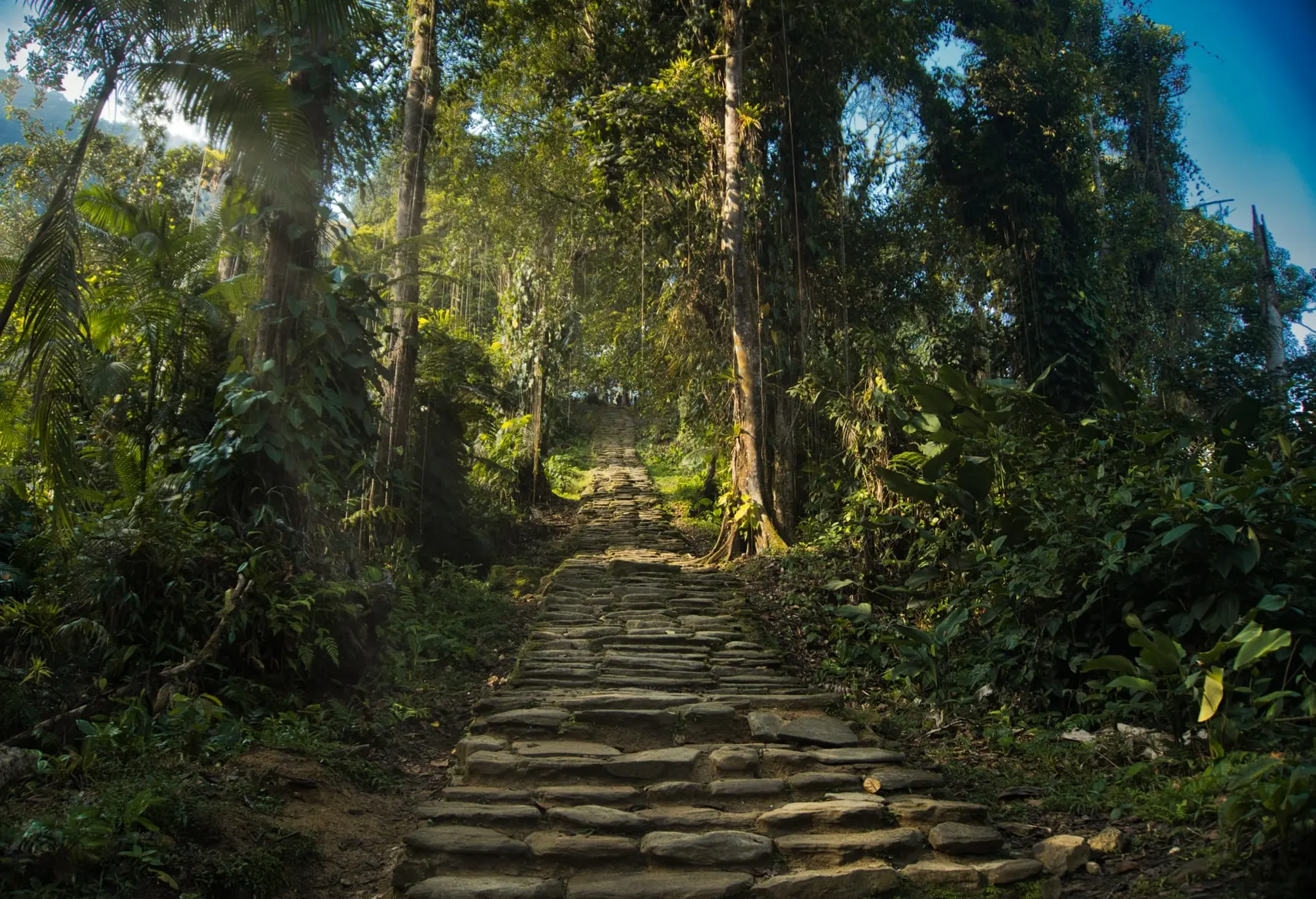 Expedición Ciudad Perdida